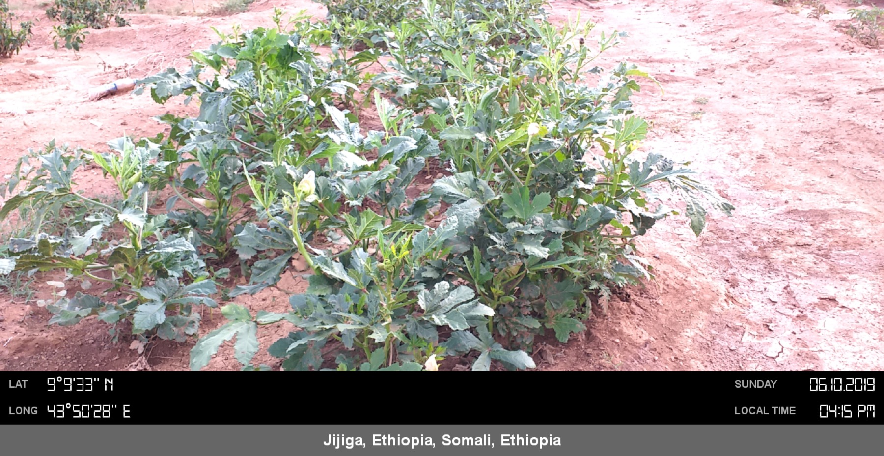 Food security