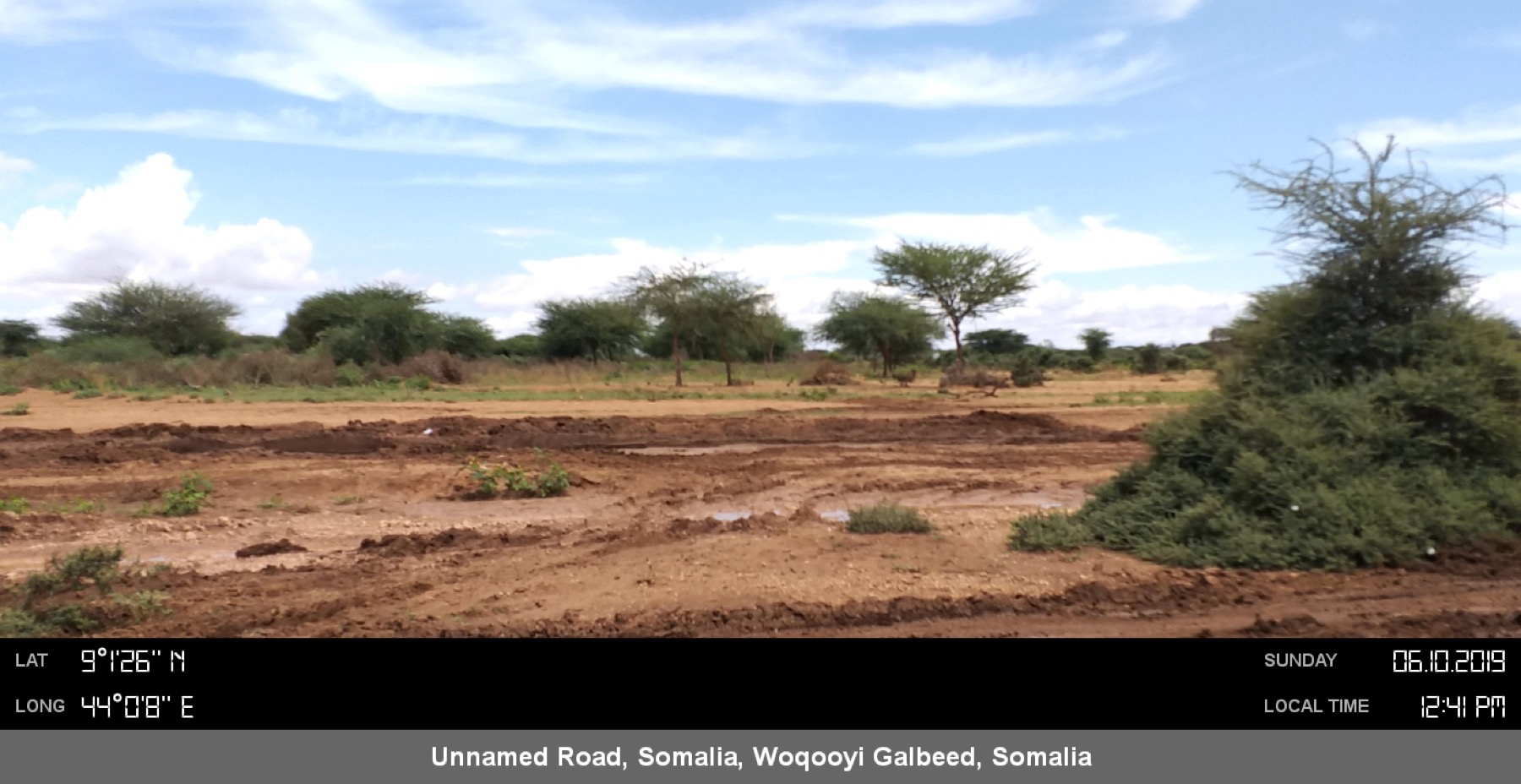 Emergency agriculture cash support